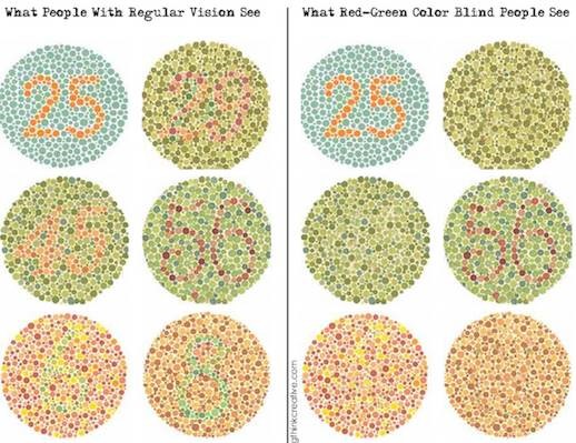 Ishihara test showing how colour appears to people with and w