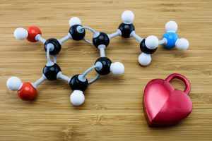 Plastic model of a dopamine molecule with a heart shape next to it