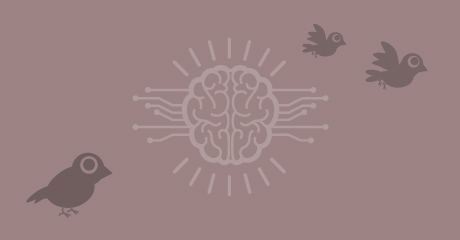 Machine learning concept brain and birds