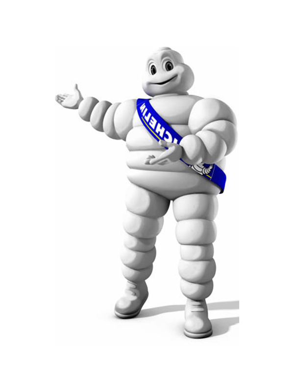 Michelin - Saffron Interactive