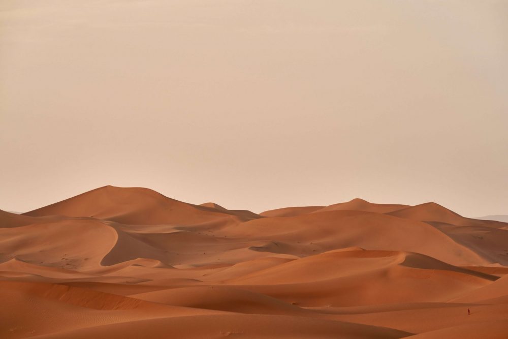 skills gap represented with the Sahara desert